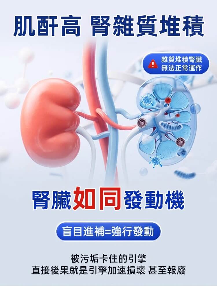蒲公英枳椇子地龍蛋白片&copy;萃品匯
